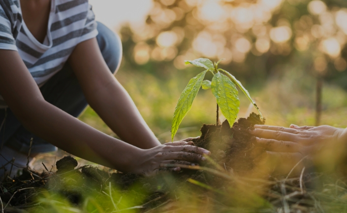 環境への取り組み