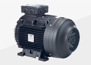 HOYER 汎用かご形モータ